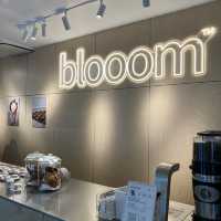 마카오 커피 & 아이스크림 맛집, bloom!