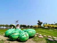 雲林小公園 遛小孩首選