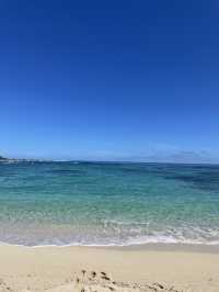 【奄美大島】グルメも観光もアクティビティも楽しすぎる奄美大島！