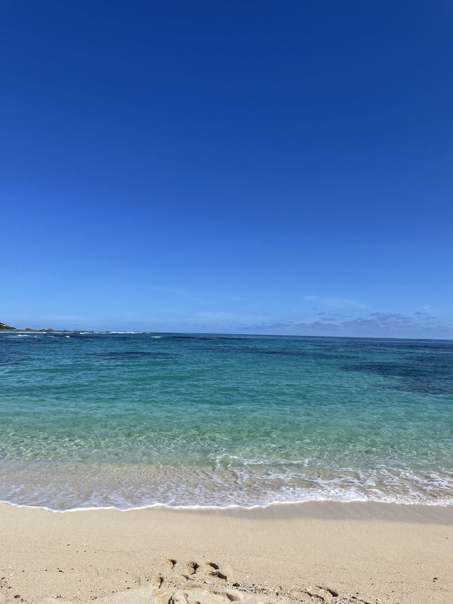 【奄美大島】グルメも観光もアクティビティも楽しすぎる奄美大島！