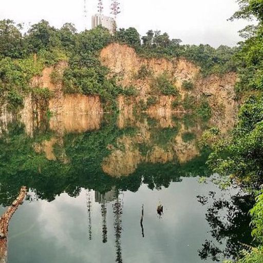 Monthly Hiking at Bukit Timah Hill 🇸🇬