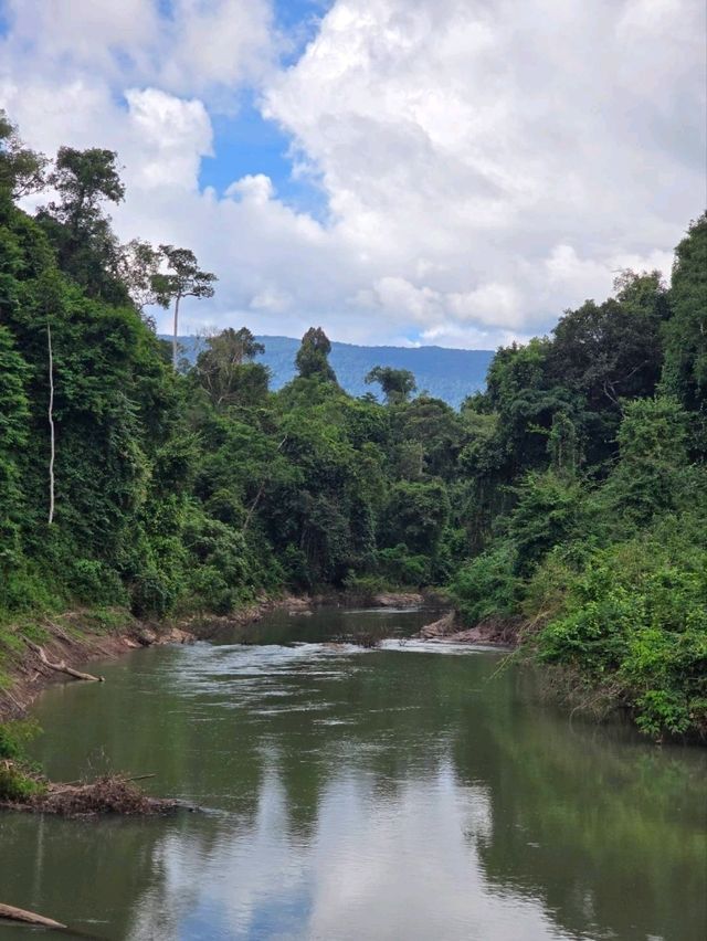 อุทยานแห่งชาติเขาใหญ่
