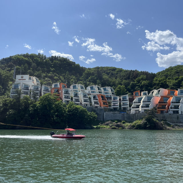 A Perfect Day Trip from Seoul: Alpaca World, Nami Island, and Gangchon Rail Park