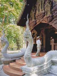 เชียงใหม่