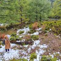 Lost in yading