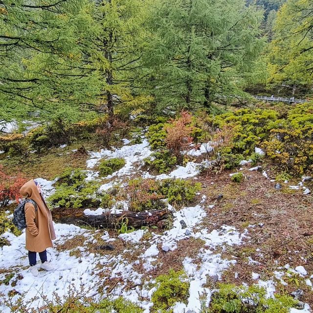 Lost in yading