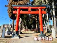 【栃木県】亀だらけの神社