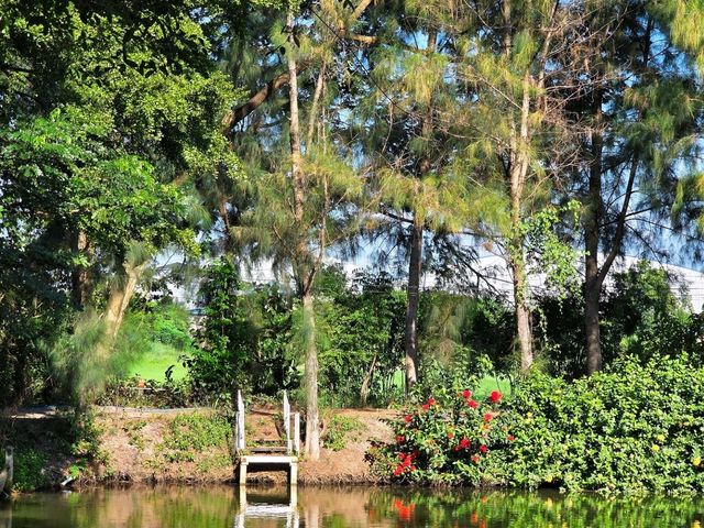 Baanna Kafe คาเฟ่ กลางทุ่งนา บ้านโป่ง ราชบุรี