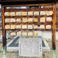 大坂ㅣ參天巨木加持ㅣ有神靈的澁川神社