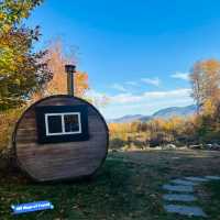 Autumn Bliss: White Mountain National Forest's Vibrant Splendor 