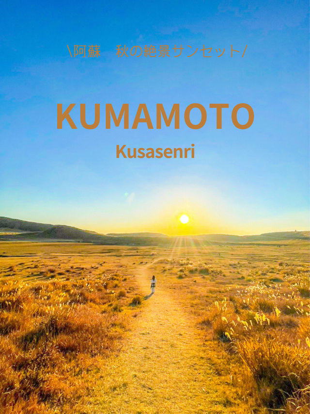 【熊本】🌾 秋の阿蘇⛰️ススキとサンセット！ここでしか味わえない絶景 🌅