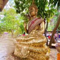 One Day Trip อัมพวา สมุทรสงคราม