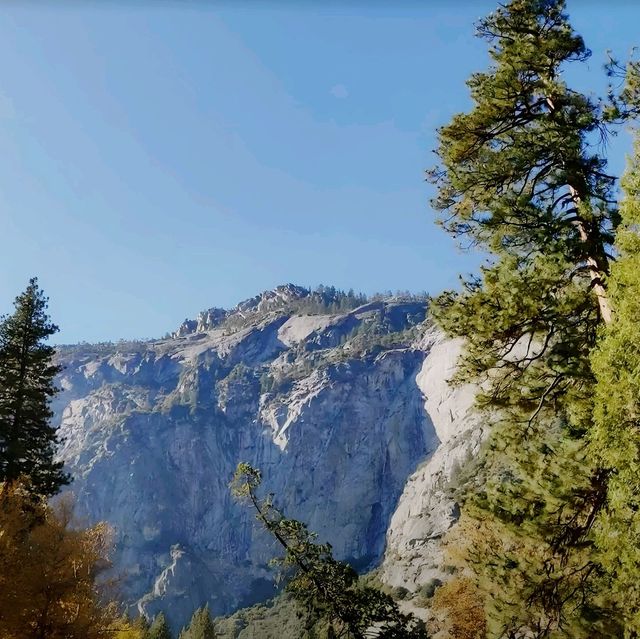 🌲【圖奧勒米林地】靜謐的自然之旅~讓心靈昇華 🌳