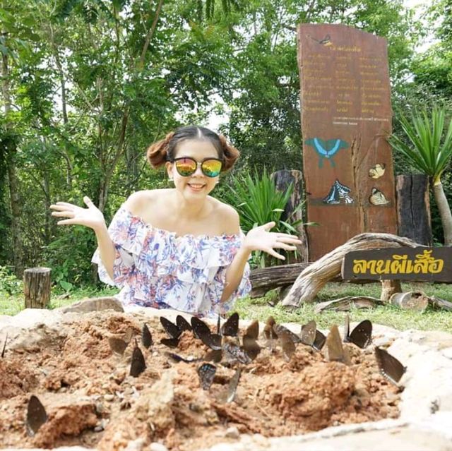 แคมป์บ้านกร่าง 