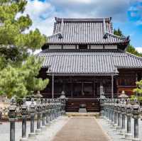 🐲開口神社🌲美麗平靜⛩️✨