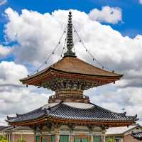 🐲開口神社🌲美麗平靜⛩️✨