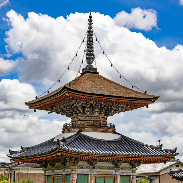 🐲開口神社🌲美麗平靜⛩️✨