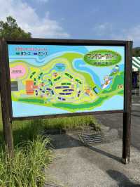 【奄美大島】マングローブパーク