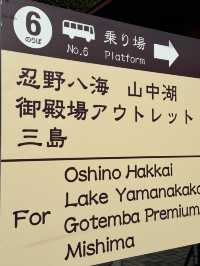 非自駕也能遊山中湖（交通分享）