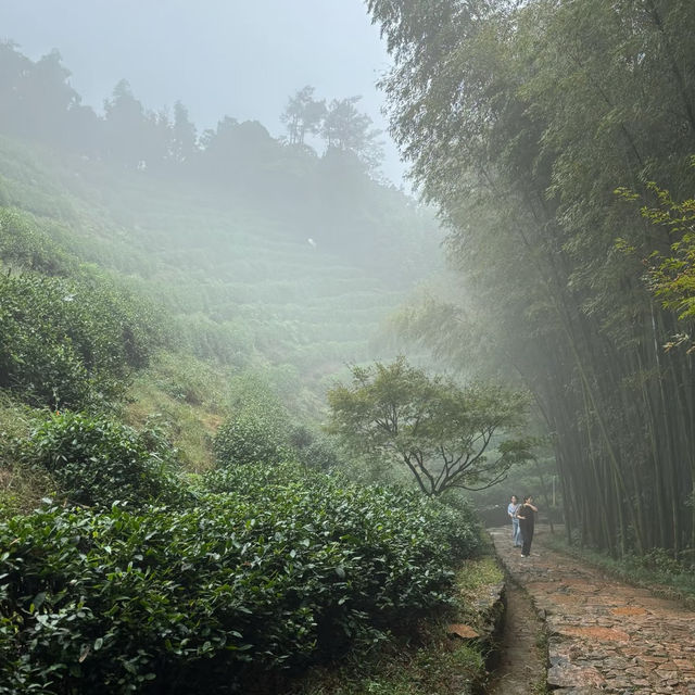 清涼寺:禪意滿滿靜謐之所 🍃🕊️ 清涼寺:禪意滿滿靜謐之所 🍃🕊️
