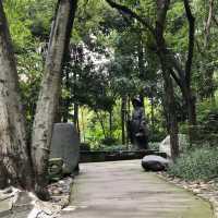 流花湖公園：自然與靜謐的完美結合 🌼