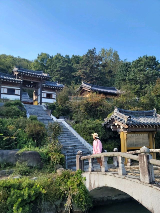 서원이 한옥카페로 변신한 역대급 감성나들이🧡