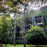 【スリランカ🇱🇰/ダンブッラ】ホテル建築の最高峰✨