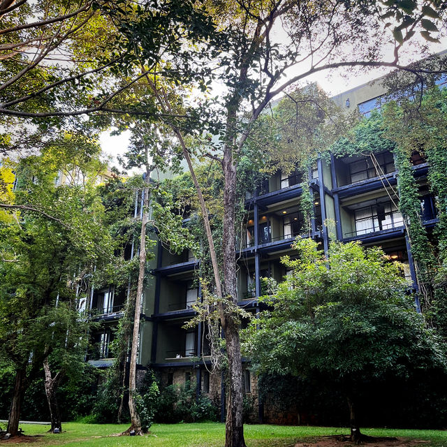 【スリランカ🇱🇰/ダンブッラ】ホテル建築の最高峰✨