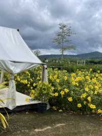 ฟีลเมืองเวโรนาในไทย ถ่ายรูปสวย ปราจีนบุรี