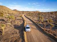 Mind blowing scenery of Joshua tree national Park
