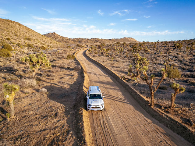 Mind blowing scenery of Joshua tree national Park