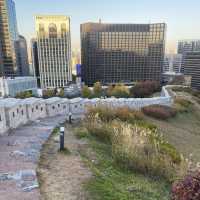 Namsan Park ในฤดูใบไม้เปลี่ยนสี