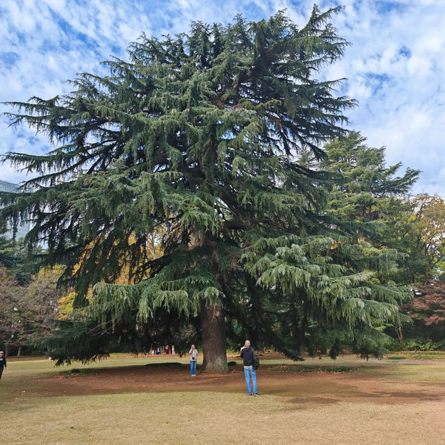 舍人公園：秋色如畫🍂🌳