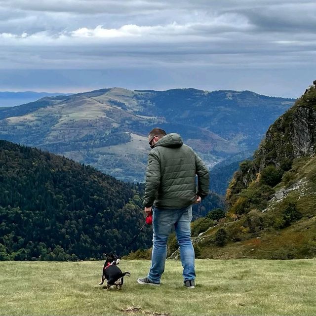 Vosges Mountains