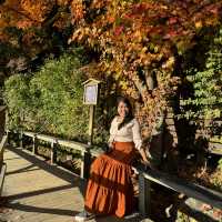 Beautiful Nami Island