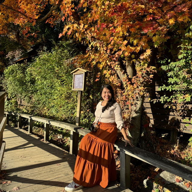 Beautiful Nami Island