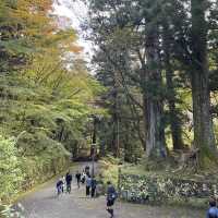 【栃木】東京から行きやすい人気紅葉スポット🍁