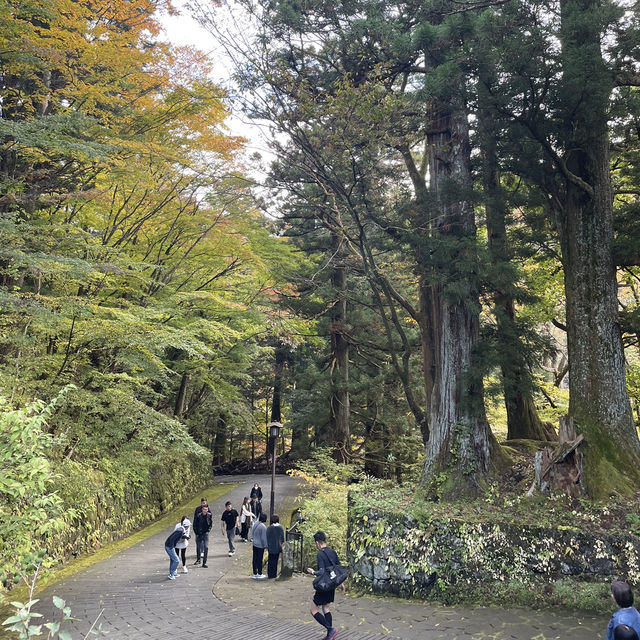 【栃木】東京から行きやすい人気紅葉スポット🍁