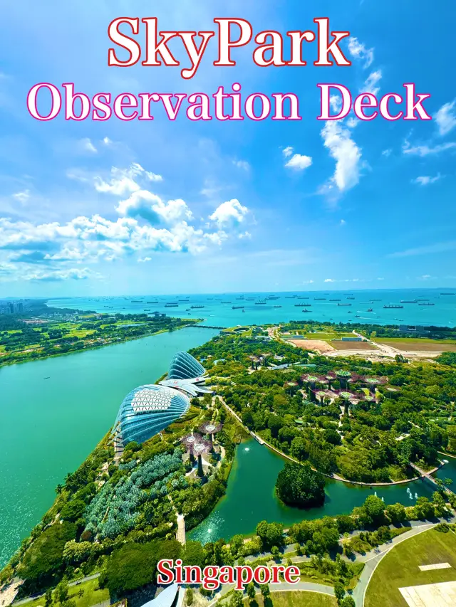 新加坡 新加坡觀光 SkyPark 觀景台的景色真的很壯觀！