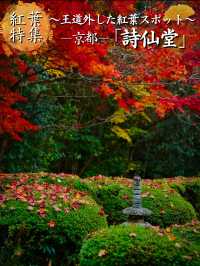 【紅葉特集】緑・黄・橙・赤のコントラストがすごい‼️日本初のあれがあるスポット🍁