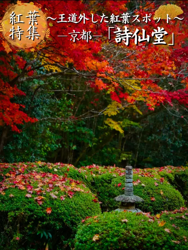 【紅葉特輯】綠、黃、橙、紅的對比超驚人！日本第一個「那個」就在這裡！