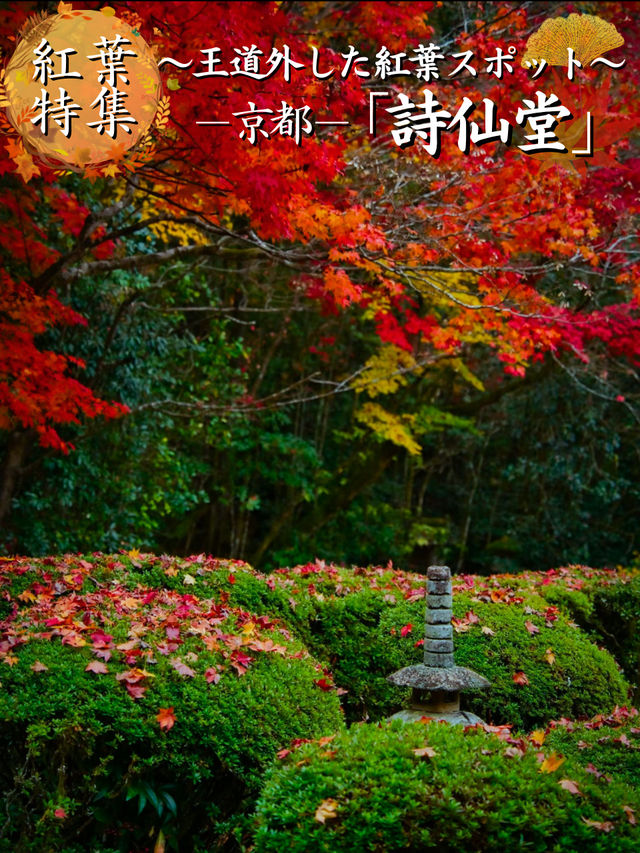 【紅葉特集】緑・黄・橙・赤のコントラストがすごい‼️日本初のあれがあるスポット🍁