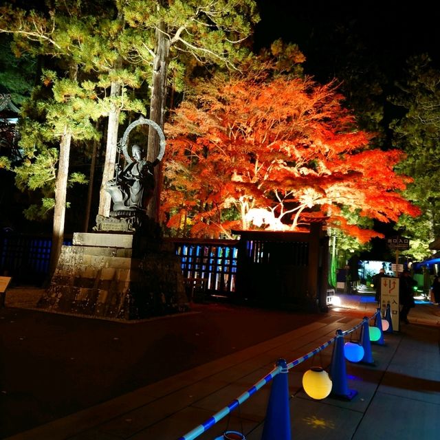 松島 国宝 瑞巌寺　秋の夜間参拝