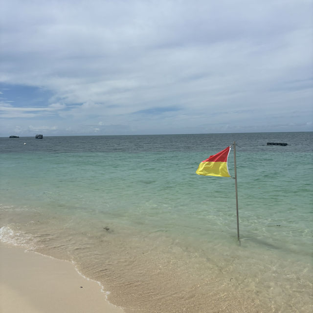 【ケアンズ】グリーン島