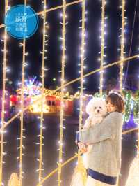 え？ほんと？ペットも連れて行けるイルミネーションが凄すぎた！本物のクリスマスに逢える場所🎅♥️🎄