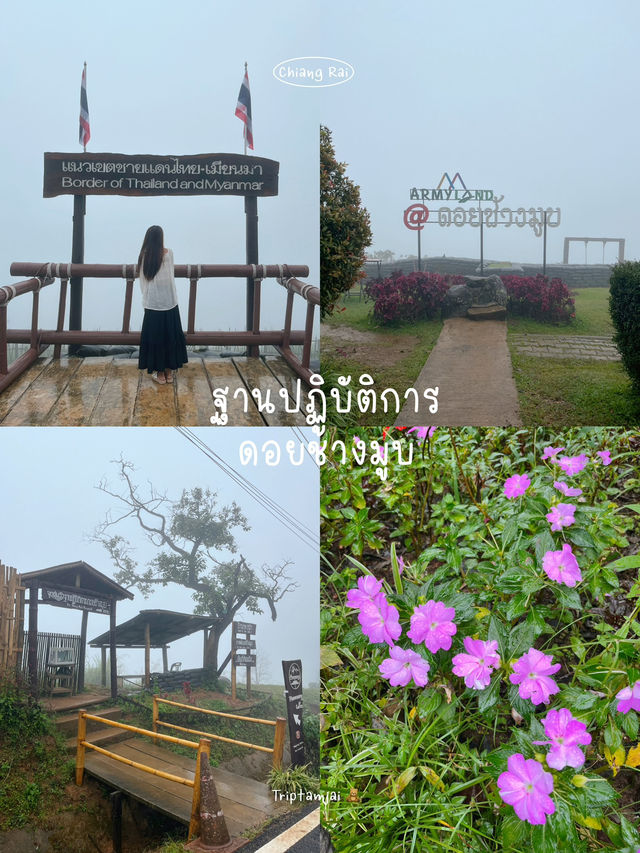 เที่ยวเชียงราย 3 วัน 2 คืน 🧸🍃