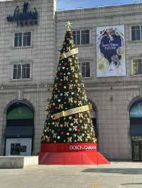 🎄크리스마스 분위기 물씬 풍기는 🌟강남구 청담동 여행지 추천 ❤️