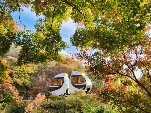 형형색색의 한국의 가을로 오세요 🍂