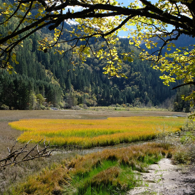 九寨溝秋景