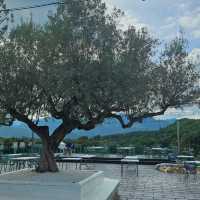Oliva View De’Cafe: โอลิว่า วิว เดอคาเฟ่